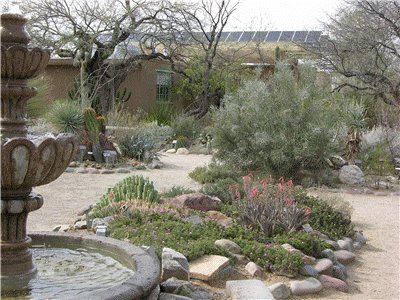 Tucson Botanical Garden, photographer Tanya Jones